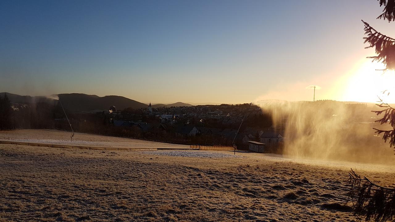 Haus Nicole Apartman Winterberg Kültér fotó