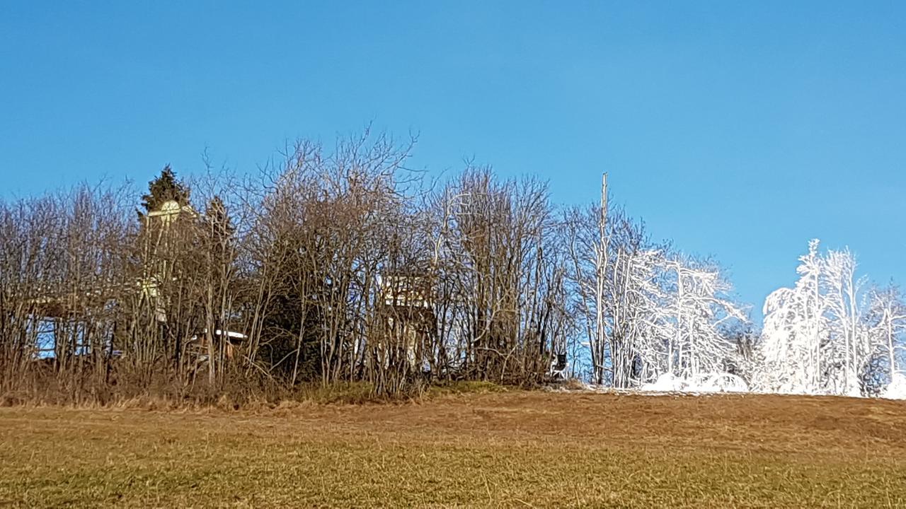 Haus Nicole Apartman Winterberg Kültér fotó